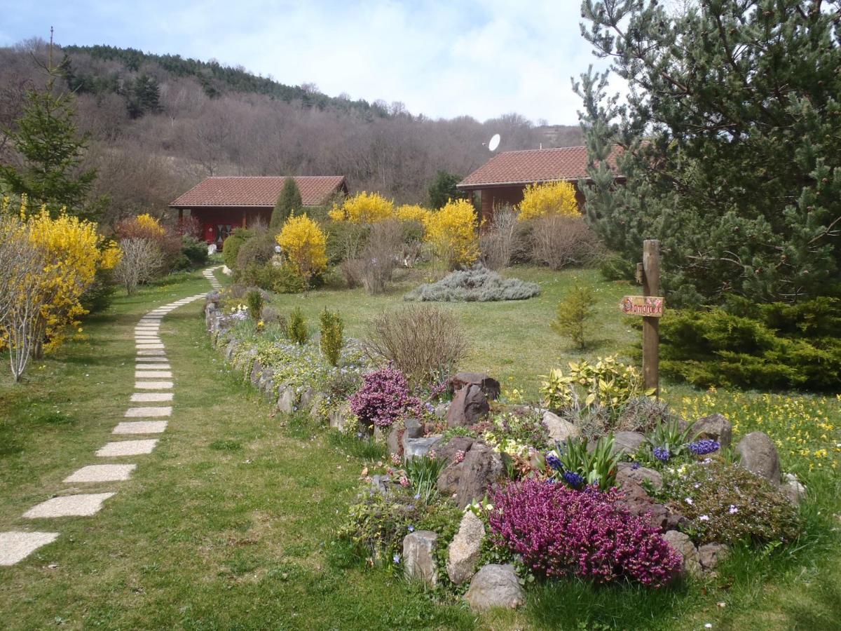 Saint-Floret Les Chalets De La Vigne Grande מראה חיצוני תמונה